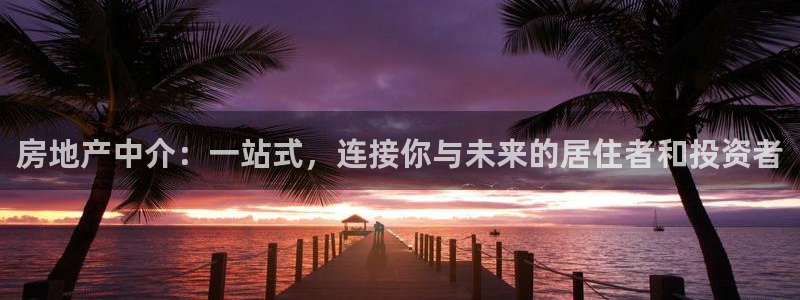 天狮娱乐开好：房地产中介：一站式，连接你与未来的居住者和投资