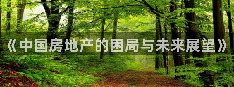 天狮娱乐主管q844389：《中国房地产的困局与未来展望》