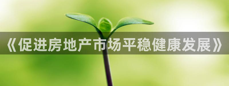 天狮娱乐平台是哪里的：《促进房地产市场平稳健康发展》