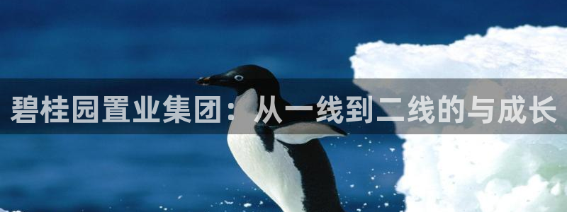 天狮娱乐b 判官：碧桂园置业集团：从一线到二线的与成长