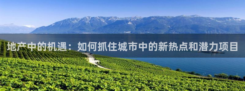 天狮娱乐官网登录：地产中的机遇：如何抓住城市中的新热点和潜力