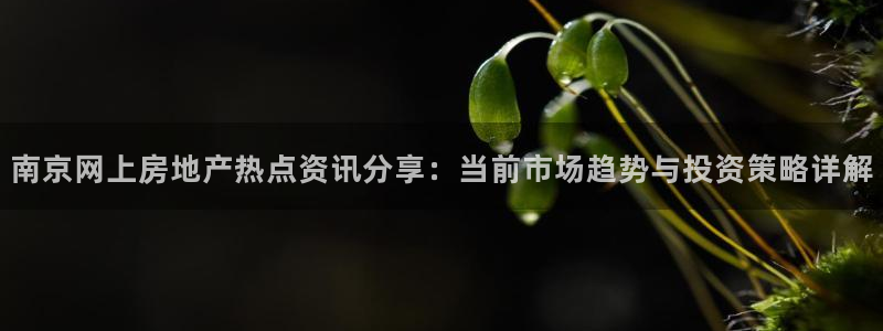 有玩天狮娱乐：南京网上房地产热点资讯分享：当前市场趋势与投资