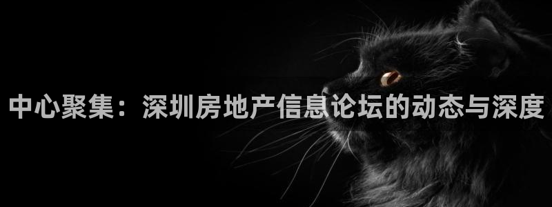 天狮娱乐哪里注册：中心聚集：深圳房地产信息论坛的动态与深度