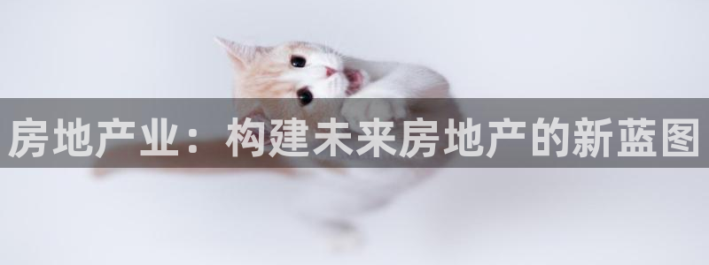 天狮娱乐主管汽车之家：房地产业：构建未来房地产的新蓝图