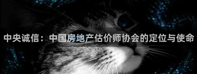 天狮娱乐内部主管