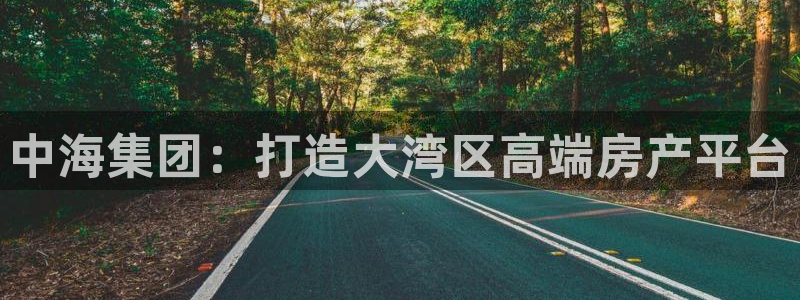 天狮会娱乐KTV会所怎么样：中海集团：打造大湾区高端房产平台
