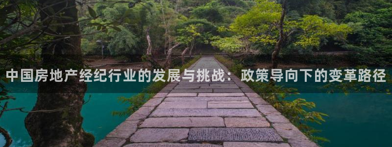 天狮娱乐官网登录：中国房地产经纪行业的发展与挑战：政策导向下