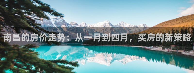 天狮娱乐950954：南昌的房价走势：从一月到四月，买房的新