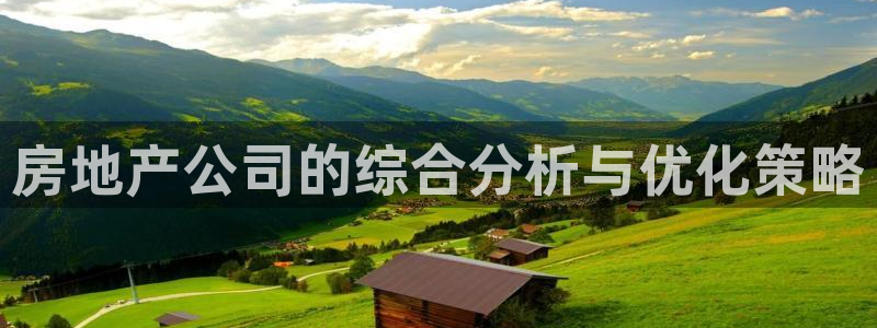 天狮娱乐股东主管：房地产公司的综合分析与优化策略