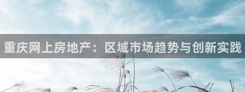 天狮娱乐挂机：重庆网上房地产：区域市场趋势与创新实践