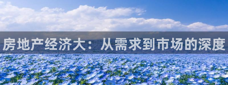 天狮娱乐彩票app：房地产经济大：从需求到市场的深度