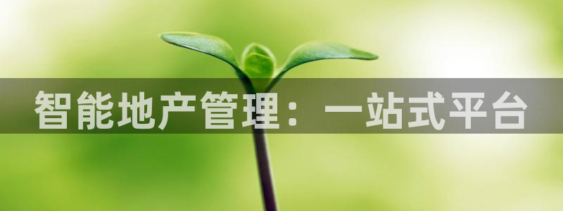天狮娱乐非法吗：智能地产管理：一站式平台