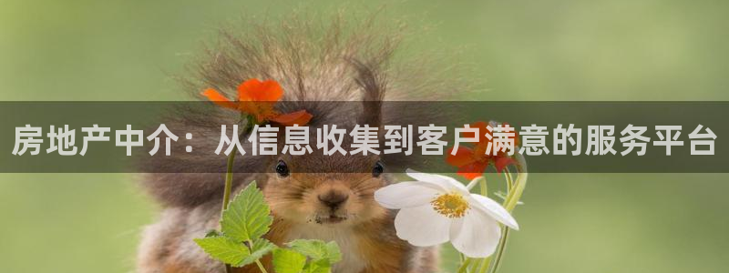 天狮娱乐是黑平台吗：房地产中介：从信息收集到客户满意的服务平