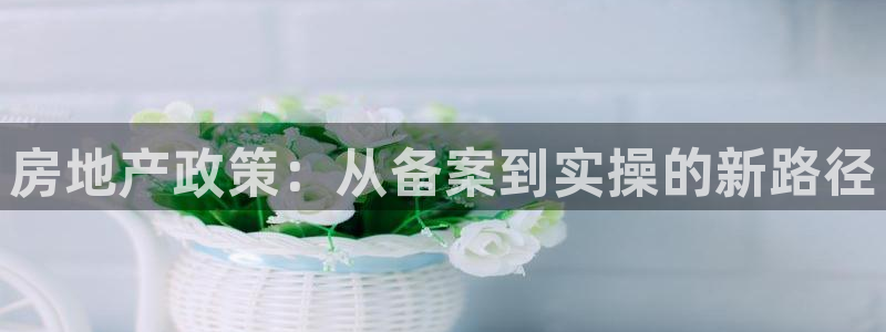 天狮娱乐平台作弊：房地产政策：从备案到实操的新路径