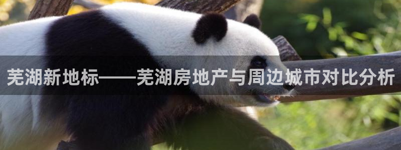 天狮学院娱乐设施怎么样：芜湖新地标——芜湖房地产与周边城市对