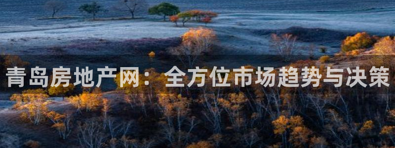 天狮娱乐36633股东：青岛房地产网：全方位市场趋势与决策