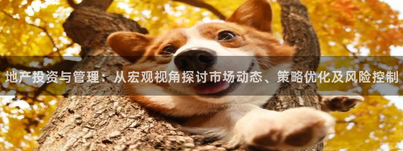 天狮娱乐Q 78139老板：地产投资与管理：从宏观视角探讨市