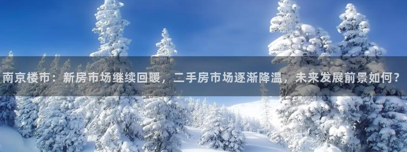 天狮娱乐彩票真假：南京楼市：新房市场继续回暖，二手房市场逐渐