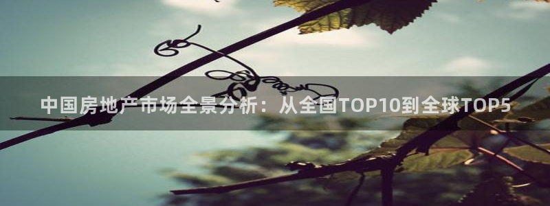 狮山天豪娱乐会所怎么样：中国房地产市场全景分析：从全国TOP