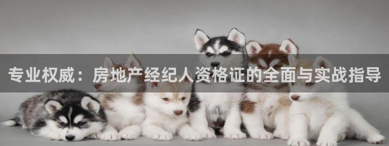 有玩天狮娱乐：专业权威：房地产经纪人资格证的全面与实战指导