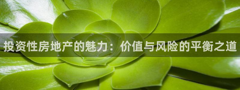 天狮娱乐运营