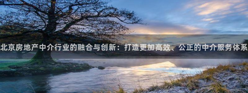 天狮娱乐代理怎么做：北京房地产中介行业的融合与创新：打造更加