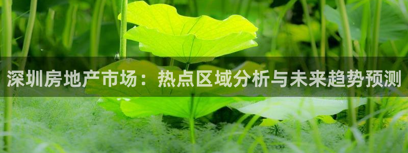 天狮娱乐 卧j招商60447：深圳房地产市场：热点区域分析与