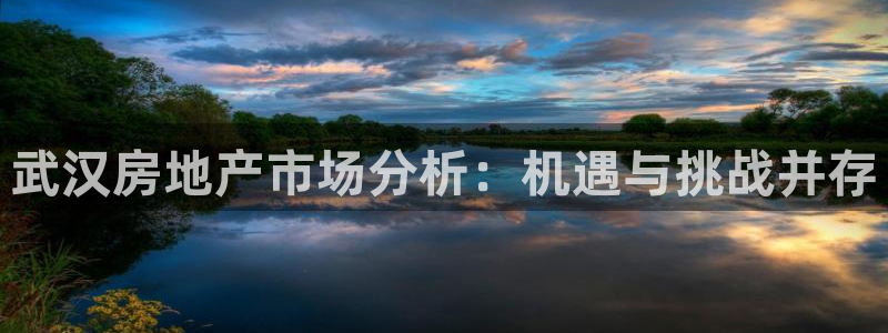天狮娱乐下载app：武汉房地产市场分析：机遇与挑战并存