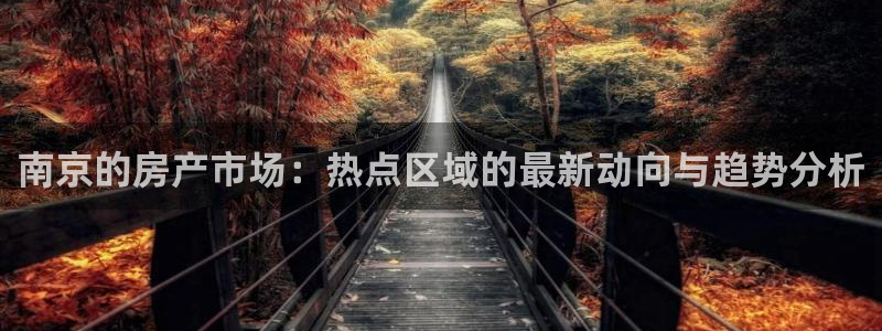 天狮娱乐 注：南京的房产市场：热点区域的最新动向与趋势分析