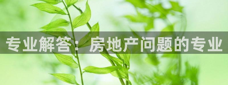 天狮娱乐平台找谁：专业解答：房地产问题的专业