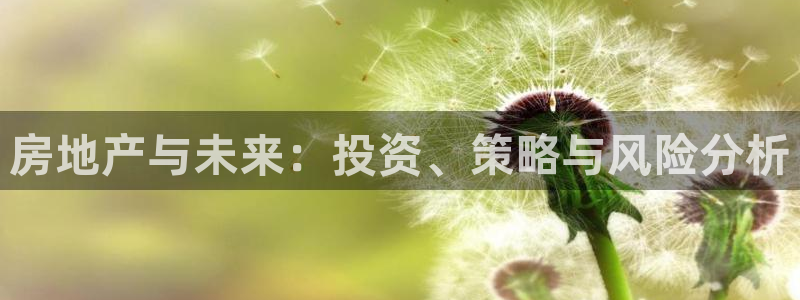 天狮娱乐指尖自：房地产与未来：投资、策略与风险分析