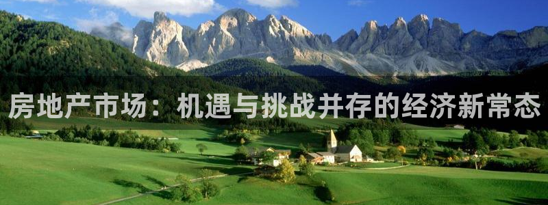 天狮娱乐：房地产市场：机遇与挑战并存的经济新常态
