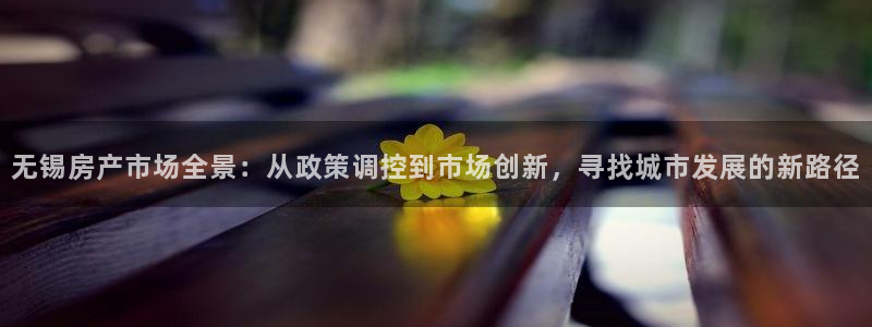 天狮娱乐是正规平台吗：无锡房产市场全景：从政策调控到市场创新