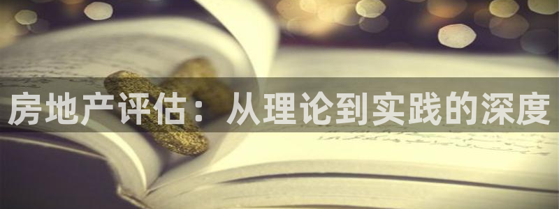 天狮娱乐官方代理：房地产评估：从理论到实践的深度