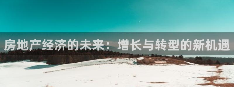 du天狮娱乐 主管注册官网：房地产经济的未来：增长与转型的新
