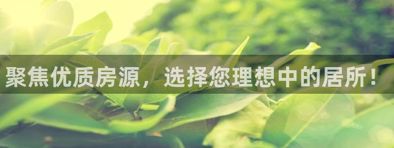 天狮娱乐代理最高多少钱：聚焦优质房源，选择您理想中的居所！