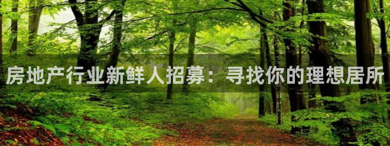 天狮娱乐购彩：房地产行业新鲜人招募：寻找你的理想居所