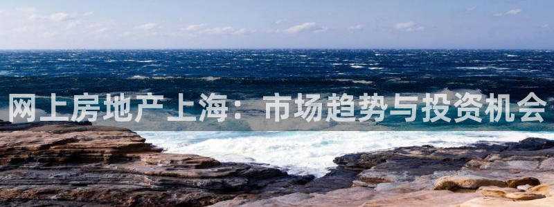 天狮娱乐代理最高多少：网上房地产上海：市场趋势与投资机会