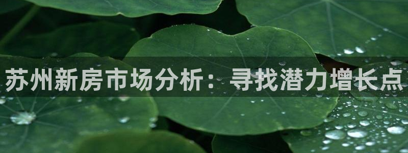 天狮娱乐是真是假