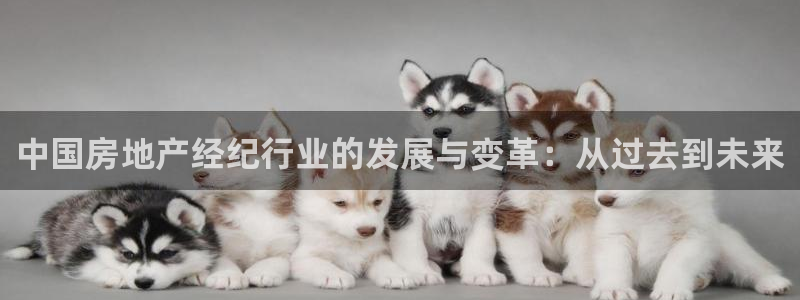 天狮娱乐 a内部29229