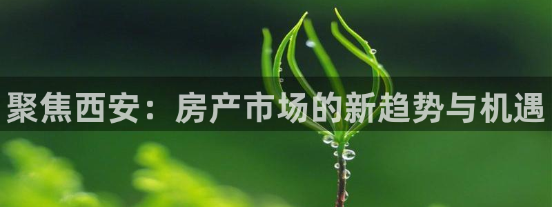 https 天狮娱乐