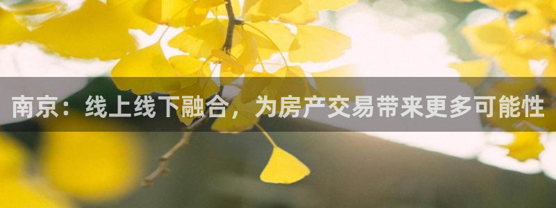 天狮娱乐问天神：南京：线上线下融合，为房产交易带来更多可能性