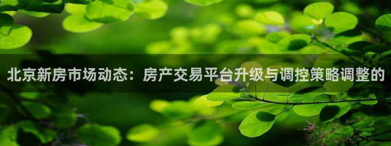 天狮娱乐(主管 )：北京新房市场动态：房产交易平台升级与调控