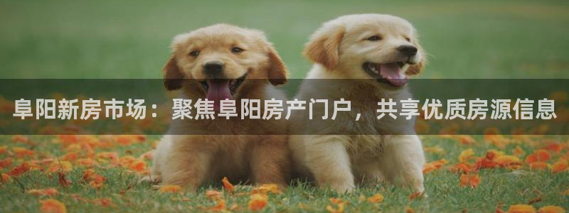天狮娱乐行：阜阳新房市场：聚焦阜阳房产门户，共享优质房源信息