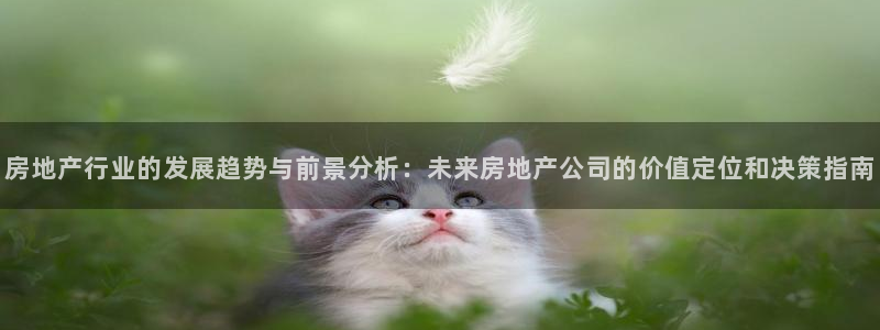 天狮娱乐招商80326