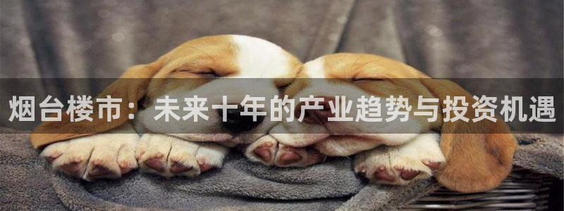 天狮娱乐61116