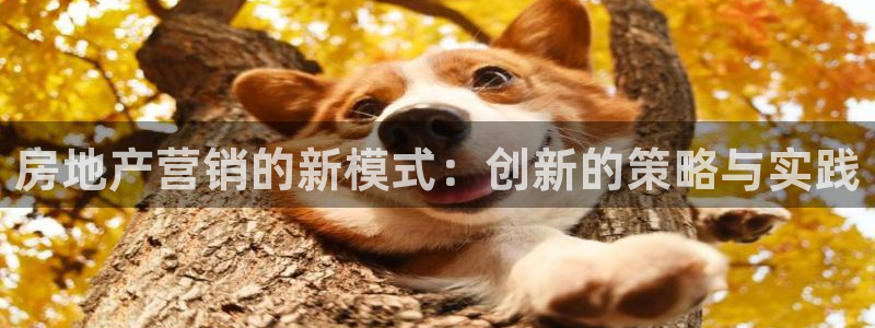天狮娱乐 a招商60447：房地产营销的新模式：创新的策略与