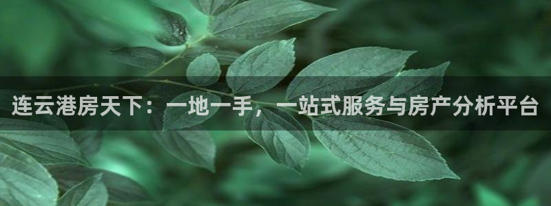 天狮娱乐 运营88383x：连云港房天下：一地一手，一站式服