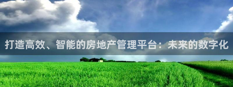 天狮娱乐 b运营67646：打造高效、智能的房地产管理平台：
