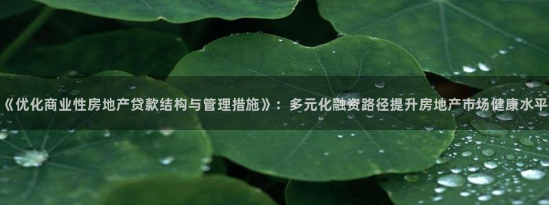 天狮娱乐主管q42862s：《优化商业性房地产贷款结构与管理
